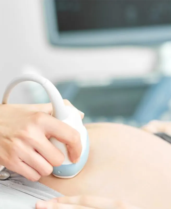 Ultrassonografia morfológico  de 2º trimestre