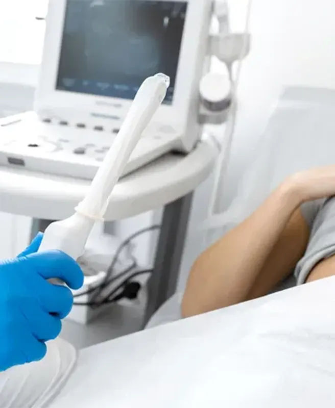 Ultrassonografia transvaginal de primeiro trimestre