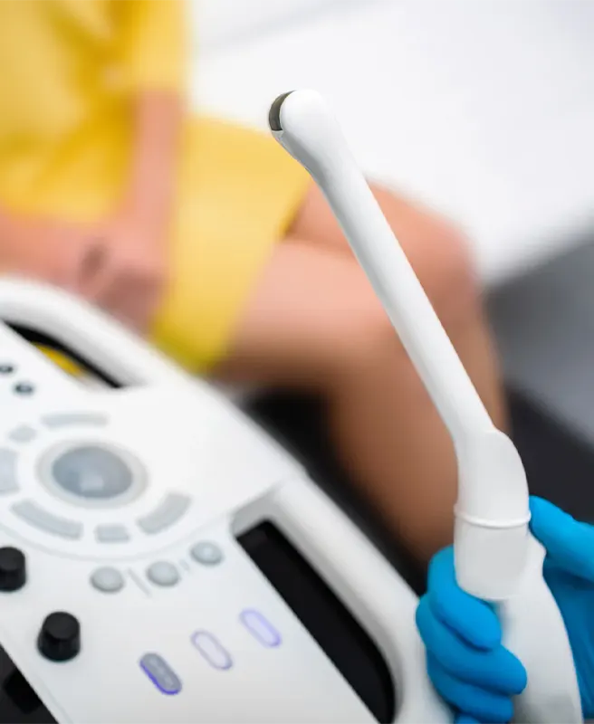 Ultrassonografia Transvaginal Ginecológico